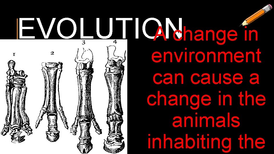 EVOLUTION A change in environment can cause a change in the animals inhabiting the