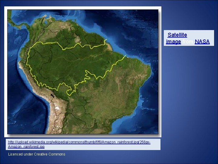 Satellite image from NASA http: //upload. wikimedia. org/wikipedia/commons/thumb/f/f 6/Amazon_rainforest. jpg/256 px. Amazon_rainforest. jpg Licenced