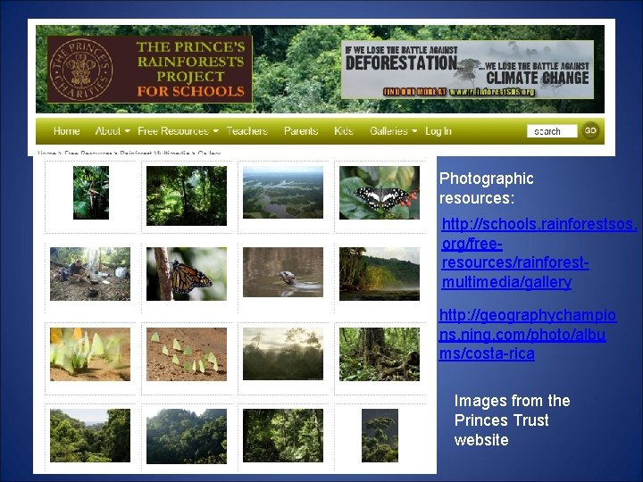 Photographic resources: http: //schools. rainforestsos. org/freeresources/rainforestmultimedia/gallery http: //geographychampio ns. ning. com/photo/albu ms/costa-rica Images from