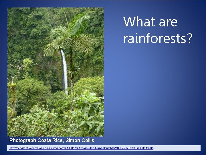 What are rainforests? Photograph Costa Rica, Simon Collis http: //geographychampions. ning. com/photo/p 1000176 -1?