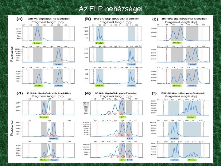 Az FLP nehézségei 