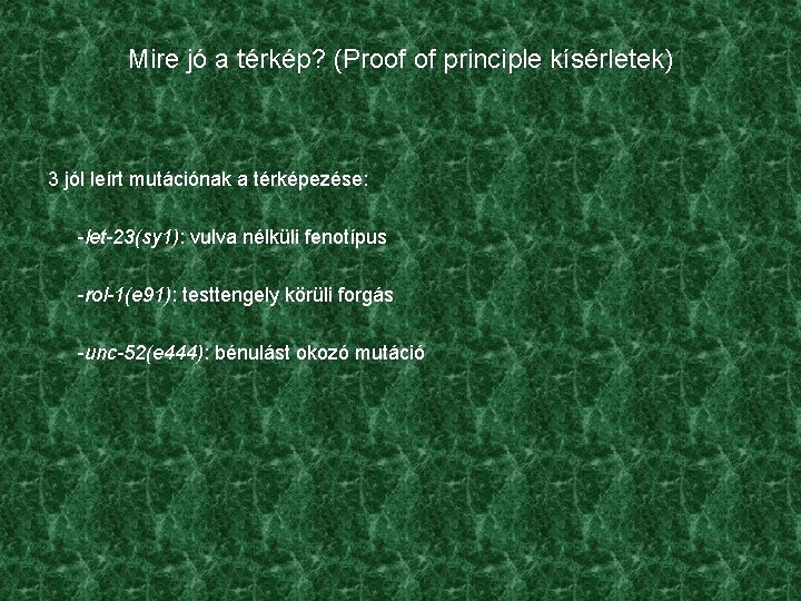 Mire jó a térkép? (Proof of principle kísérletek) 3 jól leírt mutációnak a térképezése: