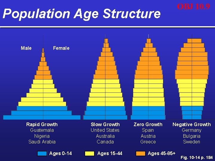 OBJ 10. 9 Population Age Structure Male Female Rapid Growth Guatemala Nigeria Saudi Arabia