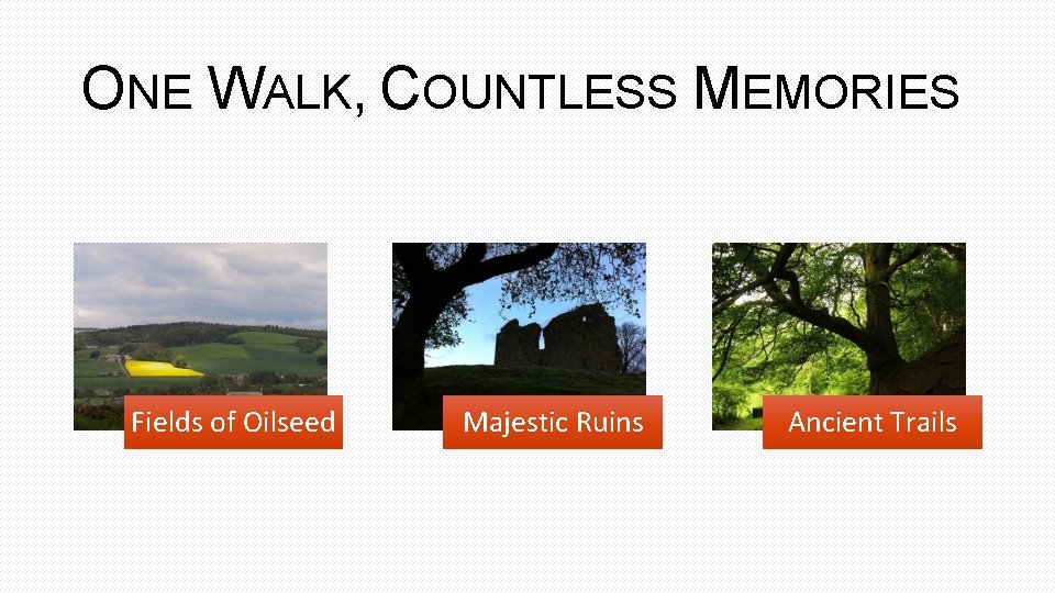 ONE WALK, COUNTLESS MEMORIES Fields of Oilseed Majestic Ruins Ancient Trails 