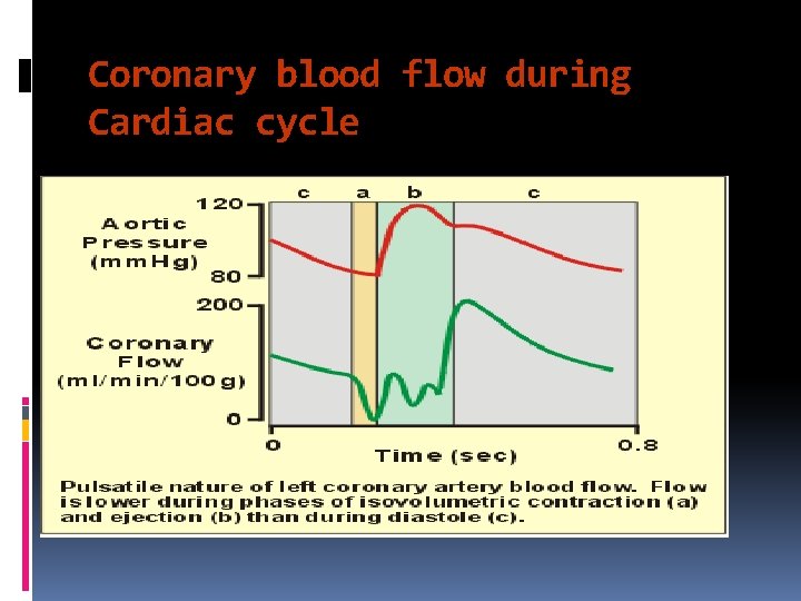 Coronary blood flow during Cardiac cycle 
