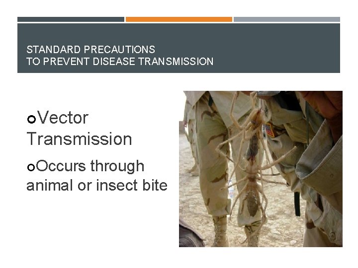 STANDARD PRECAUTIONS TO PREVENT DISEASE TRANSMISSION Vector Transmission Occurs through animal or insect bite