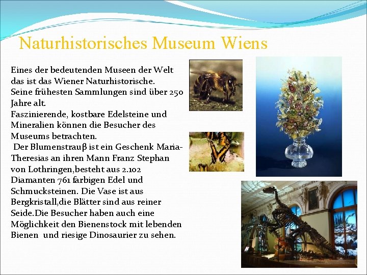 Naturhistorisches Museum Wiens Eines der bedeutenden Museen der Welt das ist das Wiener Naturhistorische.