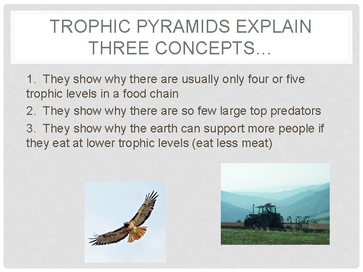 TROPHIC PYRAMIDS EXPLAIN THREE CONCEPTS… 1. They show why there are usually only four