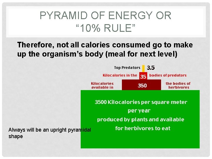 PYRAMID OF ENERGY OR “ 10% RULE” Therefore, not all calories consumed go to