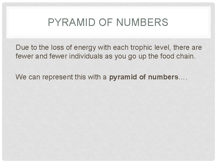 PYRAMID OF NUMBERS Due to the loss of energy with each trophic level, there