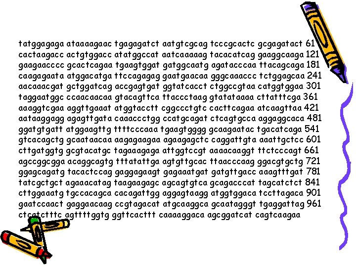 tatggagaga ataaaagaac tgagagatct aatgtcgcag tcccgcactc gcgagatact 61 cactaagacc actgtggacc atatggccat aatcaaaaag tacacatcag gaaggcaaga 121 tatggagaga ataaaagaac tgagagatct aatgtcgcag tcccgcactc gcgagatact 61 cactaagacc actgtggacc atatggccat aatcaaaaag tacacatcag gaaggcaaga 121