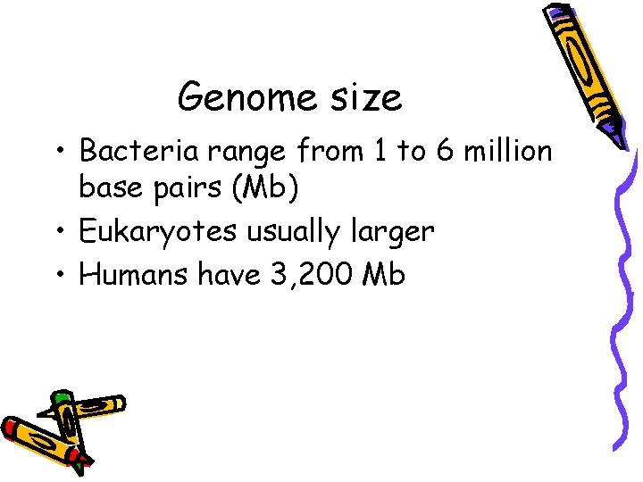 Genome size • Bacteria range from 1 to 6 million base pairs (Mb) •