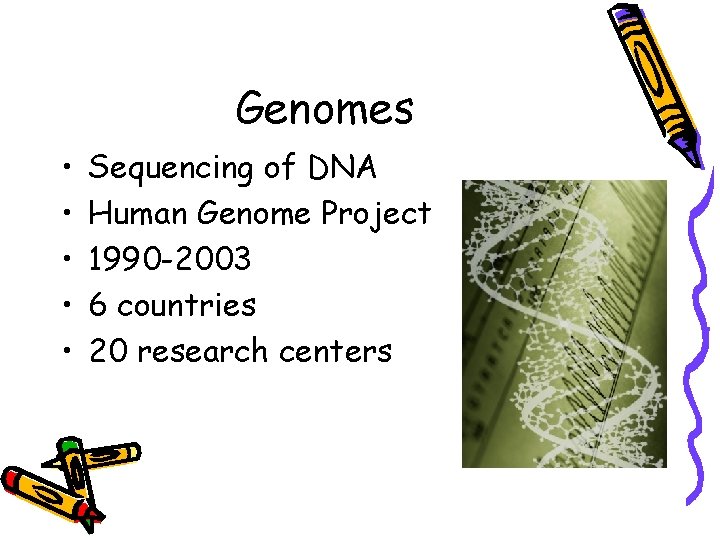 Genomes • • • Sequencing of DNA Human Genome Project 1990 -2003 6 countries Genomes • • • Sequencing of DNA Human Genome Project 1990 -2003 6 countries