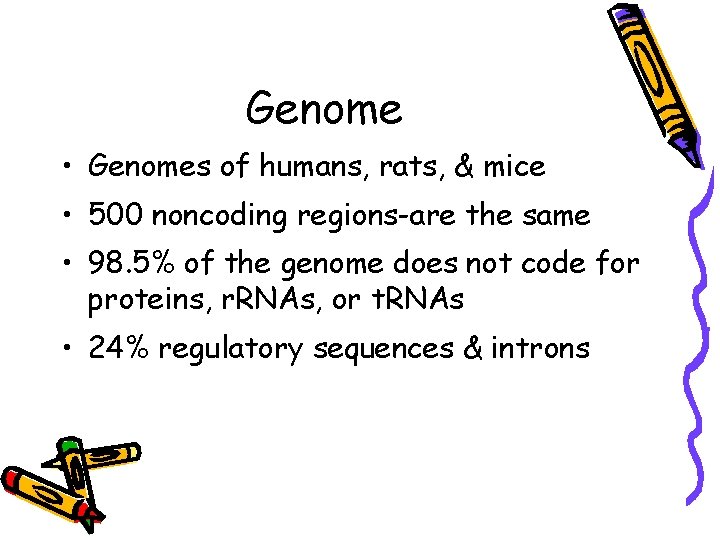 Genome • Genomes of humans, rats, & mice • 500 noncoding regions-are the same