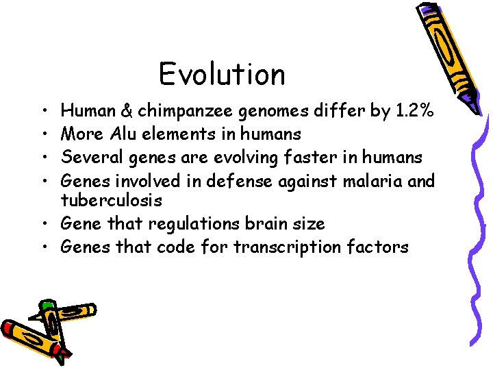 Evolution • • Human & chimpanzee genomes differ by 1. 2% More Alu elements