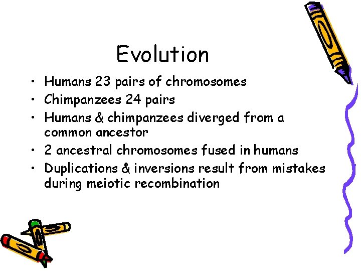 Evolution • Humans 23 pairs of chromosomes • Chimpanzees 24 pairs • Humans &