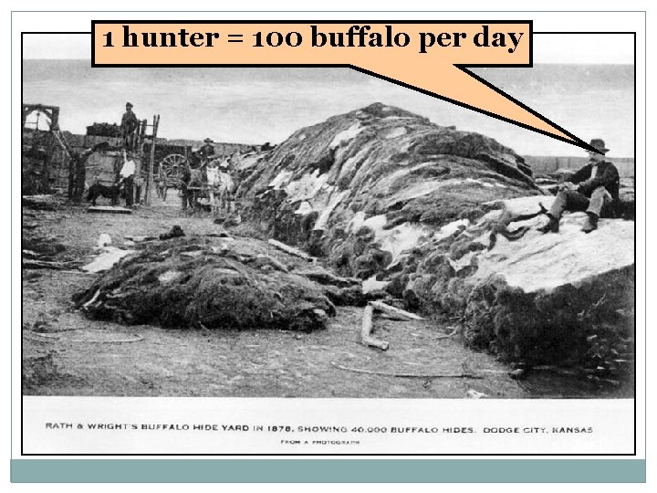 1 hunter = 100 buffalo per day 