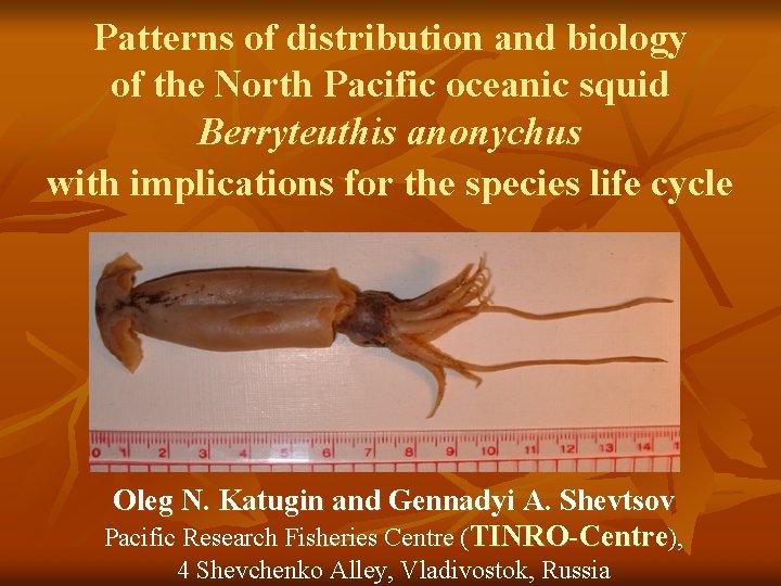 Patterns of distribution and biology of the North Pacific oceanic squid Berryteuthis anonychus with