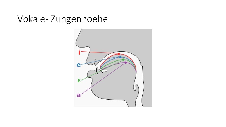 Vokale- Zungenhoehe 