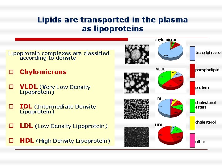 Lipids are transported in the plasma as lipoproteins chylomicron Lipoprotein complexes are classified according
