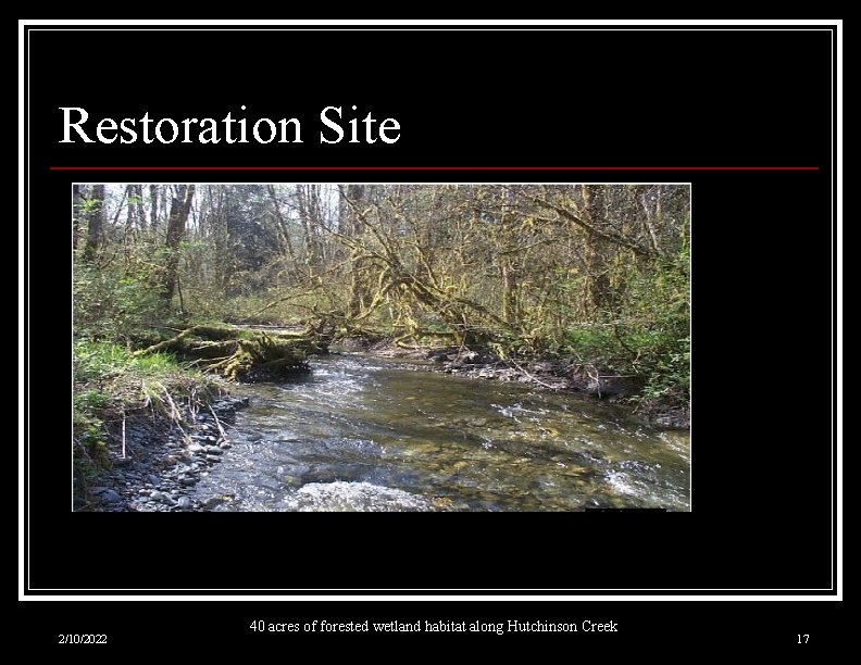 Restoration Site 2/10/2022 40 acres of forested wetland habitat along Hutchinson Creek 17 