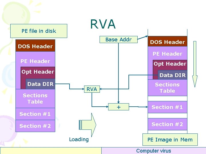 RVA PE file in disk Base Addr DOS Header PE Header Opt Header Data