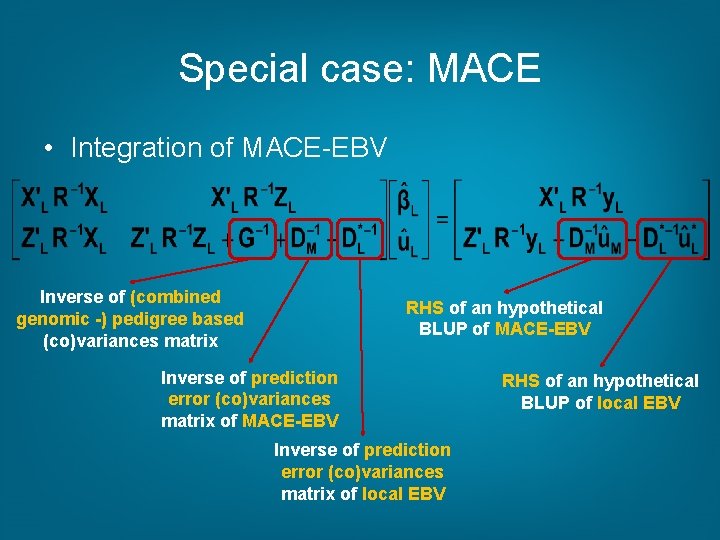 Special case: MACE • Integration of MACE-EBV Inverse of (combined genomic -) pedigree based