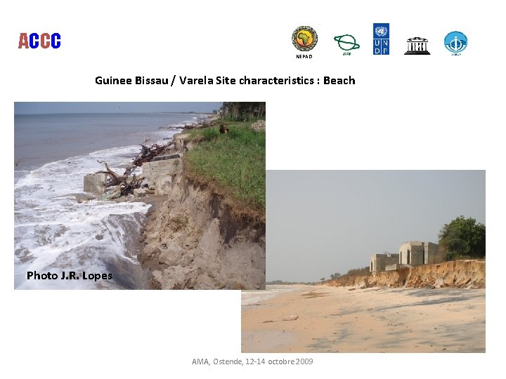 ACCC NEPAD Guinee Bissau / Varela Site characteristics : Beach Photo J. R. Lopes