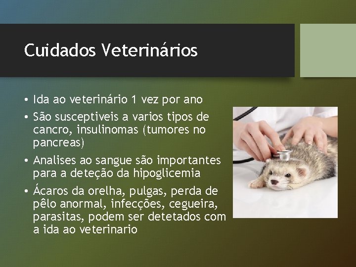 Cuidados Veterinários • Ida ao veterinário 1 vez por ano • São susceptiveis a