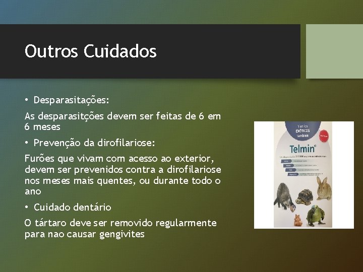 Outros Cuidados • Desparasitações: As desparasitções devem ser feitas de 6 em 6 meses