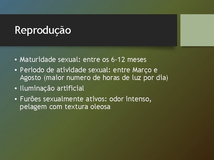 Reprodução • Maturidade sexual: entre os 6 -12 meses • Periodo de atividade sexual: