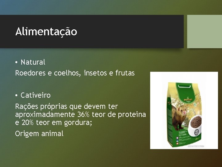 Alimentação • Natural Roedores e coelhos, insetos e frutas • Cativeiro Rações próprias que