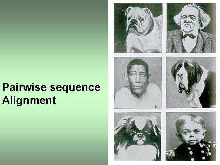 Pairwise sequence Alignment 