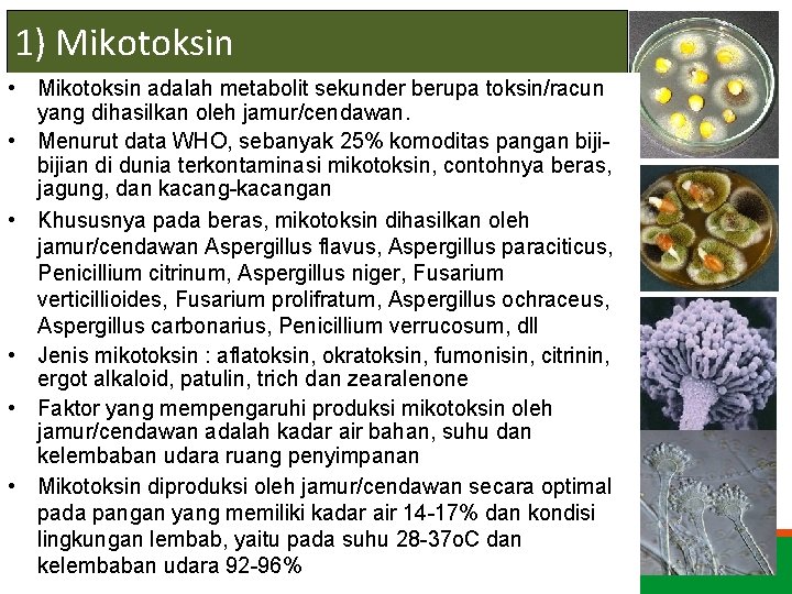 1) Mikotoksin • Mikotoksin adalah metabolit sekunder berupa toksin/racun yang dihasilkan oleh jamur/cendawan. •