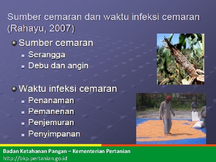 Badan Ketahanan Pangan – Kementerian Pertanian http: //bkp. pertanian. go. id 