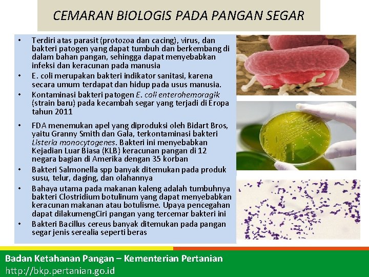 CEMARAN BIOLOGIS PADA PANGAN SEGAR • • Terdiri atas parasit (protozoa dan cacing), virus,