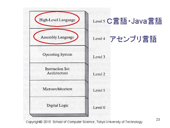 Ｃ言語・Java言語 アセンブリ言語 Copyright© 2015 School of Computer Science, Tokyo University of Technology 23 