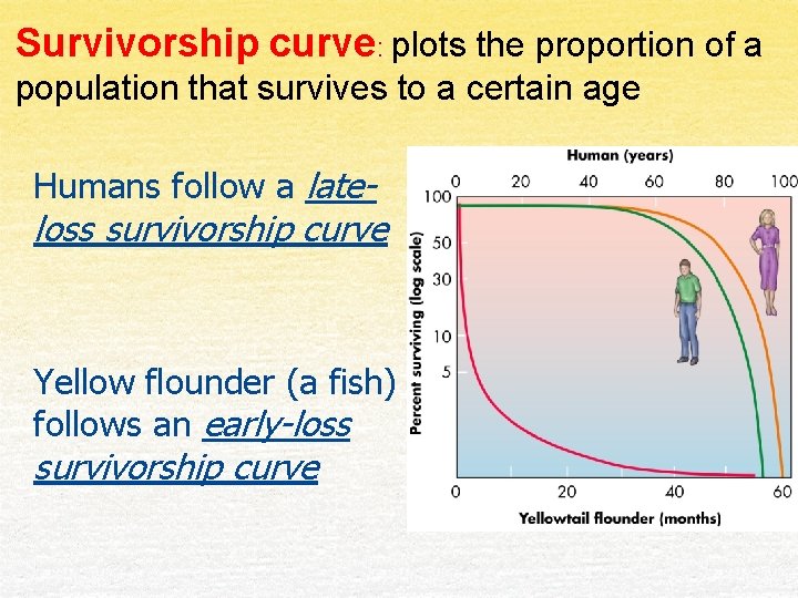 Survivorship curve: plots the proportion of a population that survives to a certain age