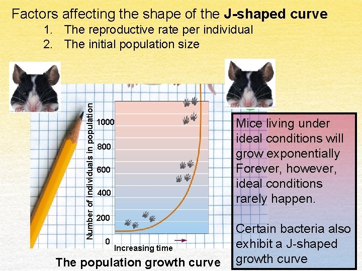 Factors affecting the shape of the J-shaped curve Number of individuals in population 1.
