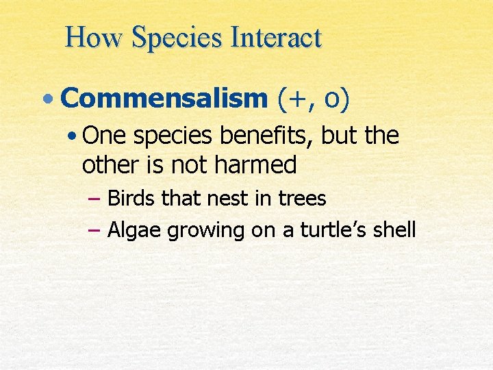 How Species Interact • Commensalism (+, o) • One species benefits, but the other