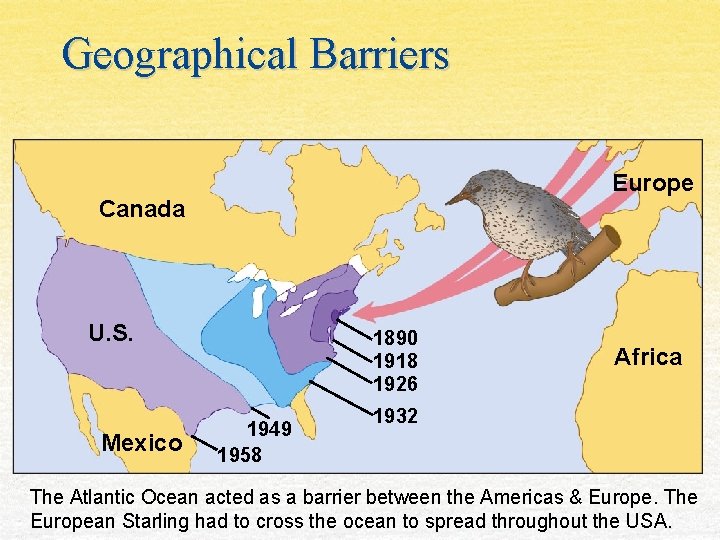 Geographical Barriers Europe Canada U. S. Mexico 1890 1918 1926 1949 1958 Africa 1932