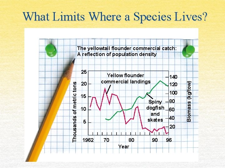 What Limits Where a Species Lives? Thousands of metric tons 25 20 Yellow flounder