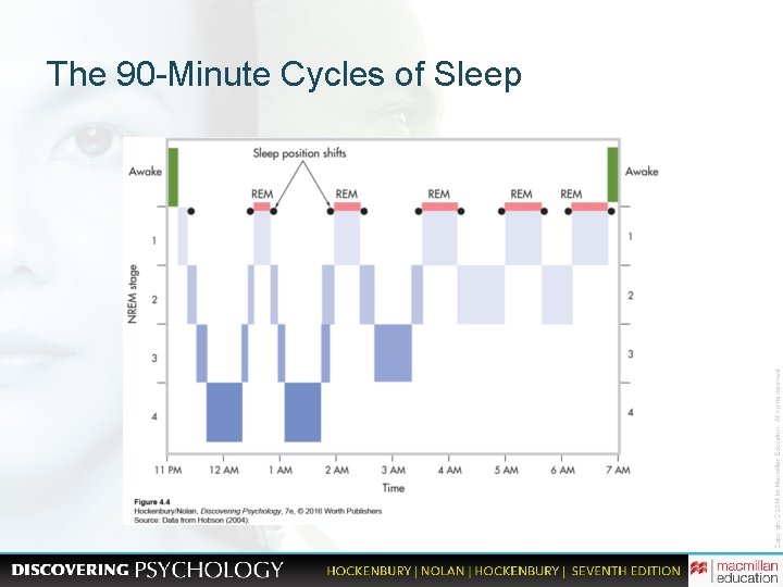 The 90 -Minute Cycles of Sleep 