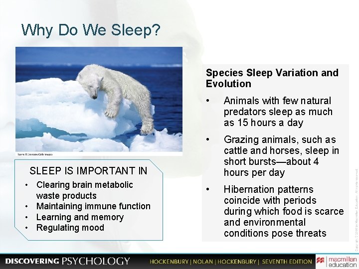 Why Do We Sleep? Species Sleep Variation and Evolution • Animals with few natural