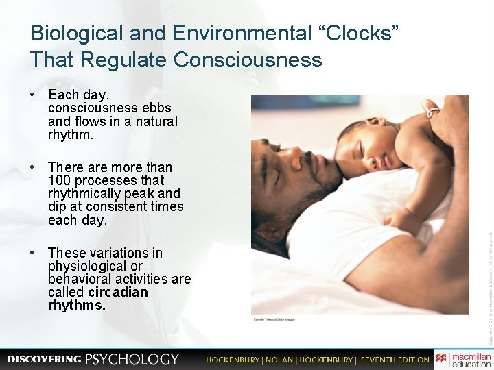 Biological and Environmental “Clocks” That Regulate Consciousness • Each day, consciousness ebbs and flows