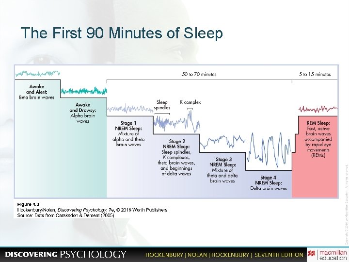The First 90 Minutes of Sleep 