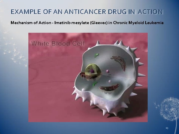 EXAMPLE OF AN ANTICANCER DRUG IN ACTION Mechanism of Action - Imatinib mesylate (Gleevec)