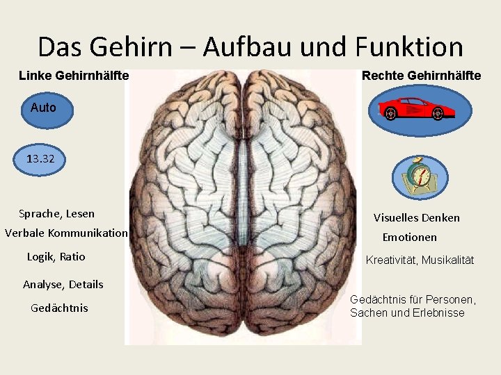 Das Gehirn – Aufbau und Funktion Linke Gehirnhälfte Rechte Gehirnhälfte Auto 13. 32 Sprache,