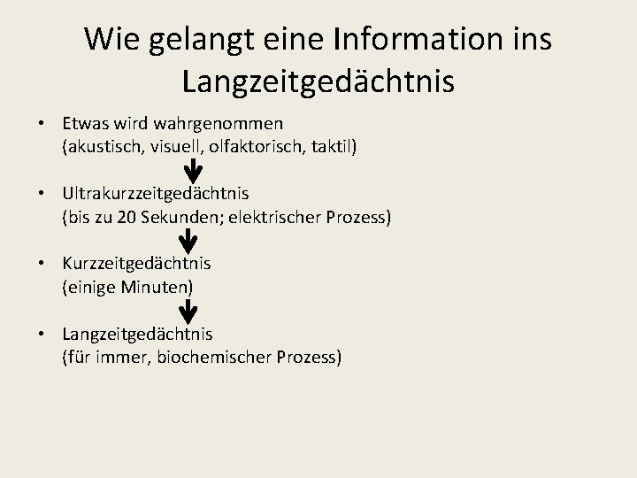 Wie gelangt eine Information ins Langzeitgedächtnis • Etwas wird wahrgenommen (akustisch, visuell, olfaktorisch, taktil)