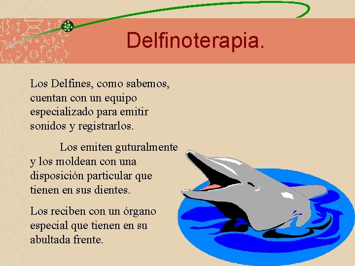 Delfinoterapia. Los Delfines, como sabemos, cuentan con un equipo especializado para emitir sonidos y